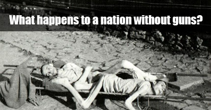What happens to a nation without guns?